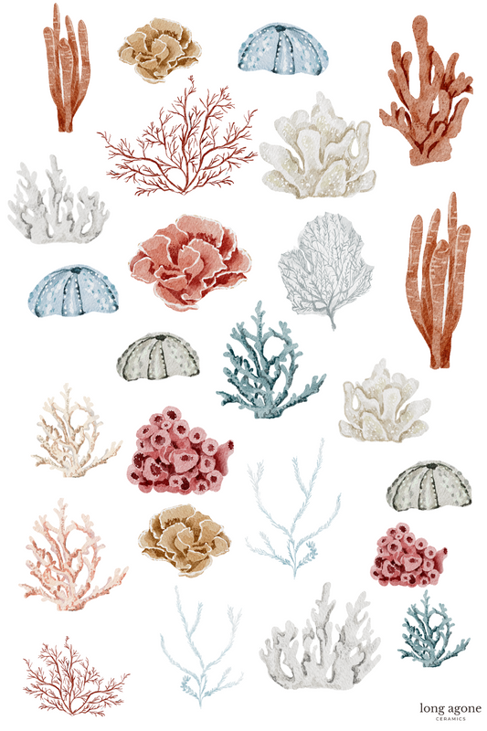 Coral- A4 Size Pottery Ceramic Decal Transfer Sheet