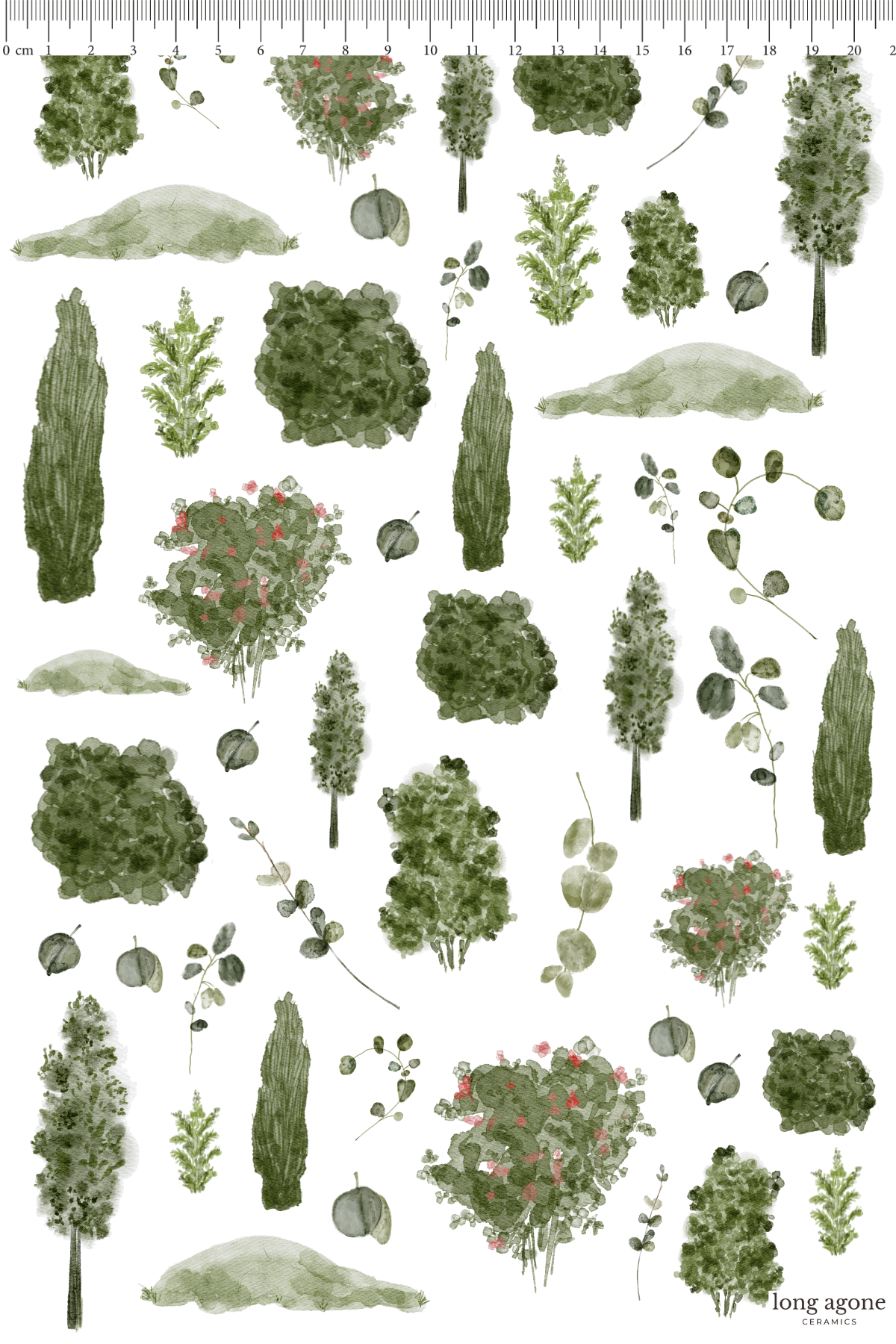 Backyard Plants- A4 Size Pottery Ceramic Decal Transfer Sheet