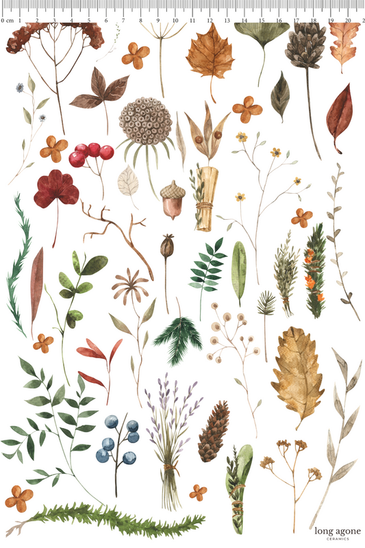 Forest Flora- A4 Size Pottery Ceramic Decal Transfer Sheet