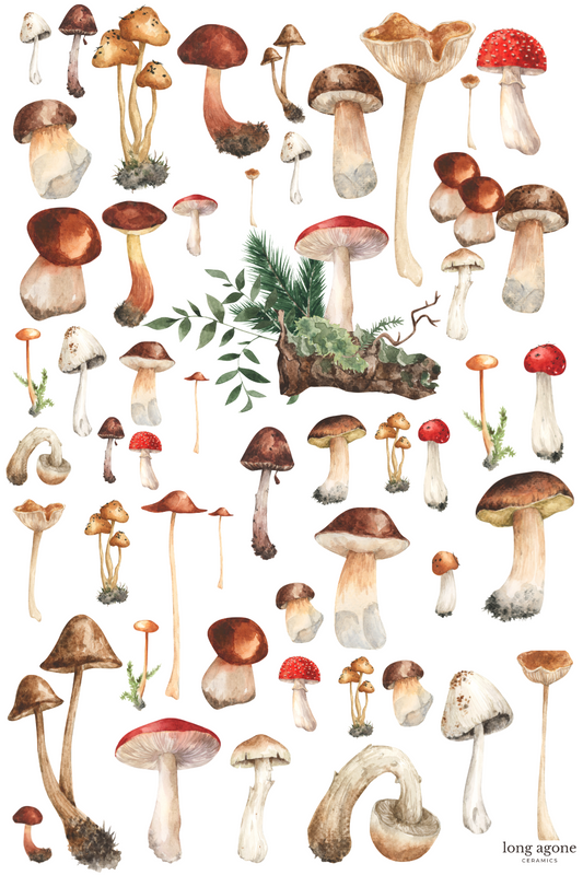 Forest Mushroom- A4 Size Pottery Ceramic Decal Transfer Sheet