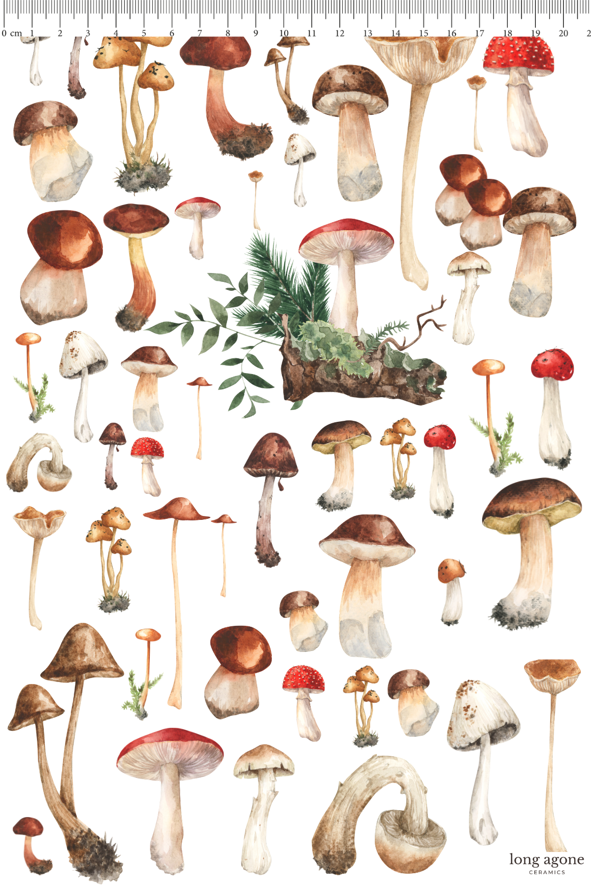 Forest Mushroom- A4 Size Pottery Ceramic Decal Transfer Sheet