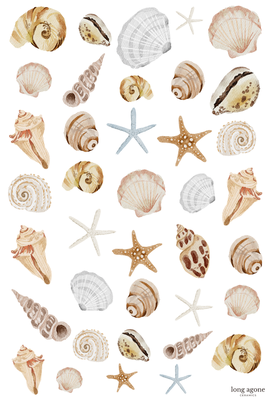 Watercolour Seashell/Shells- A4 Size Pottery Ceramic Decal Transfer Sheet